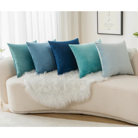 Coussin Décoratif velours