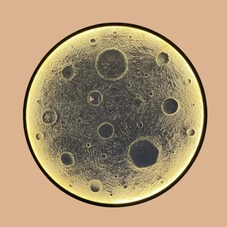 مصباح الجداري الفاخر