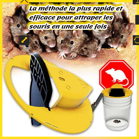 Piège à souris avec couvercle de seau ((Produit Original))