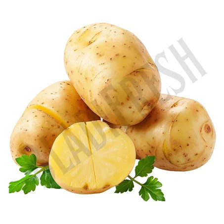 Pomme de terre Blanche – بطاطة بيضاء