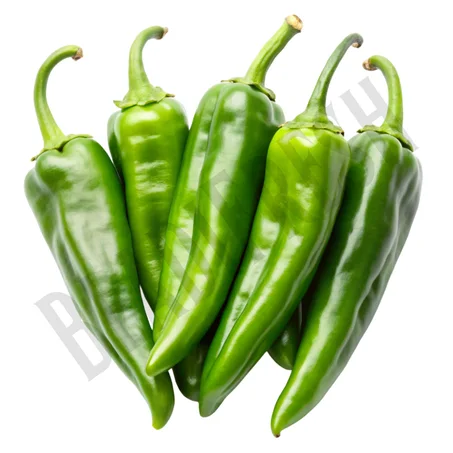 Poivron vert – فلفل أخضر