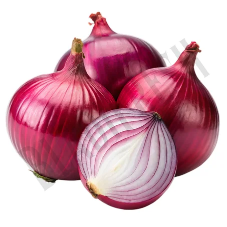 Oignon rouge – بصل حمراء