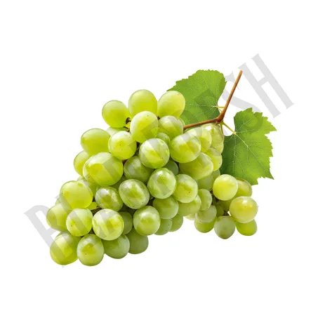 Raisin blanc – العنب الأبيض