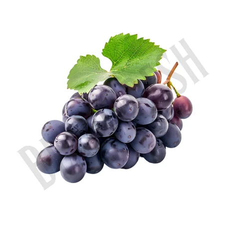 Raisin noir – العنب الأسود