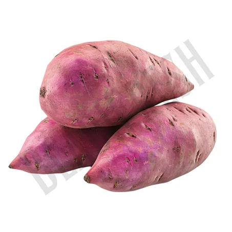 Patate douce – بطاطة حلوة