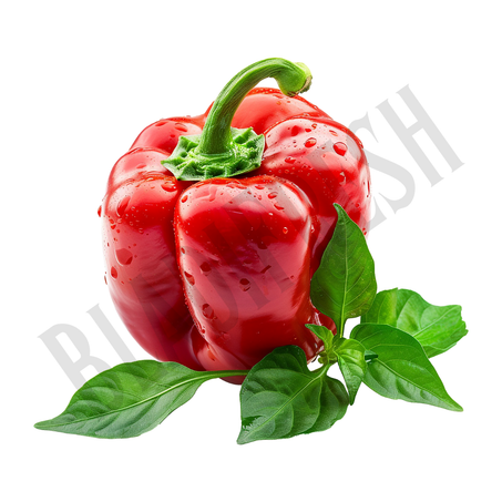 Poivron rouge – فلفل احمر