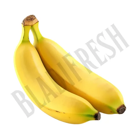 Banane – موز