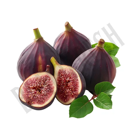 Figue noir – كرموس أسود