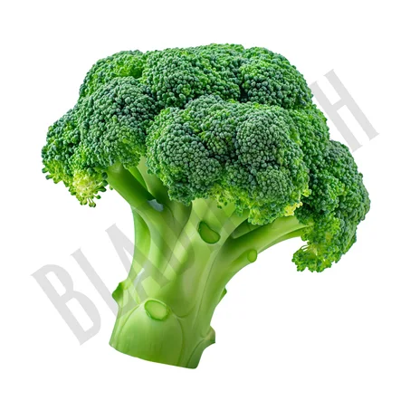 Broccoli-بروكلي (1 unité)