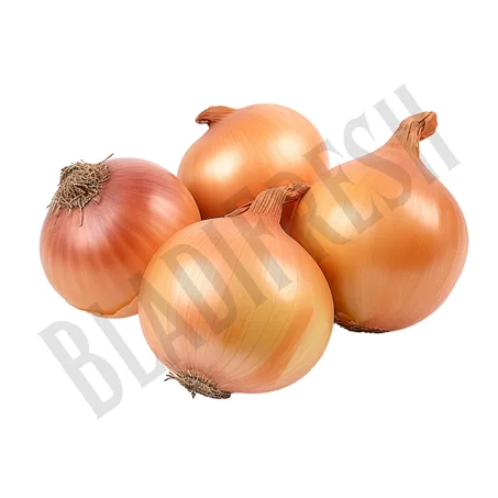 Oignon blanc – بصل بيضاء