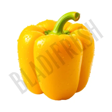 Poivron jaune – فلفل أصفر