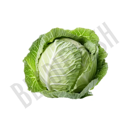 CHOUX VERT – كروم خضراء