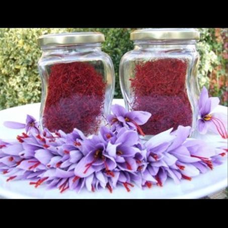 الزعفران الحر