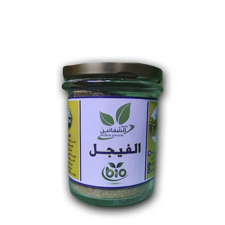 الفيجل