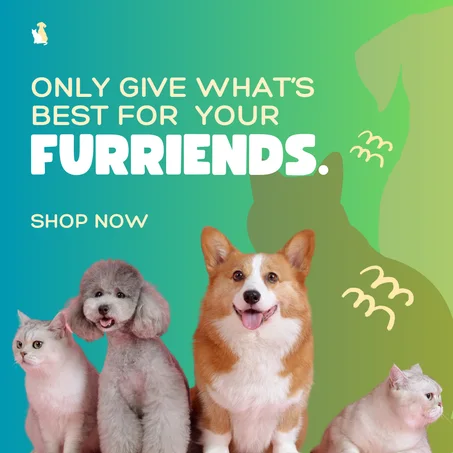 ركن الحيوانات