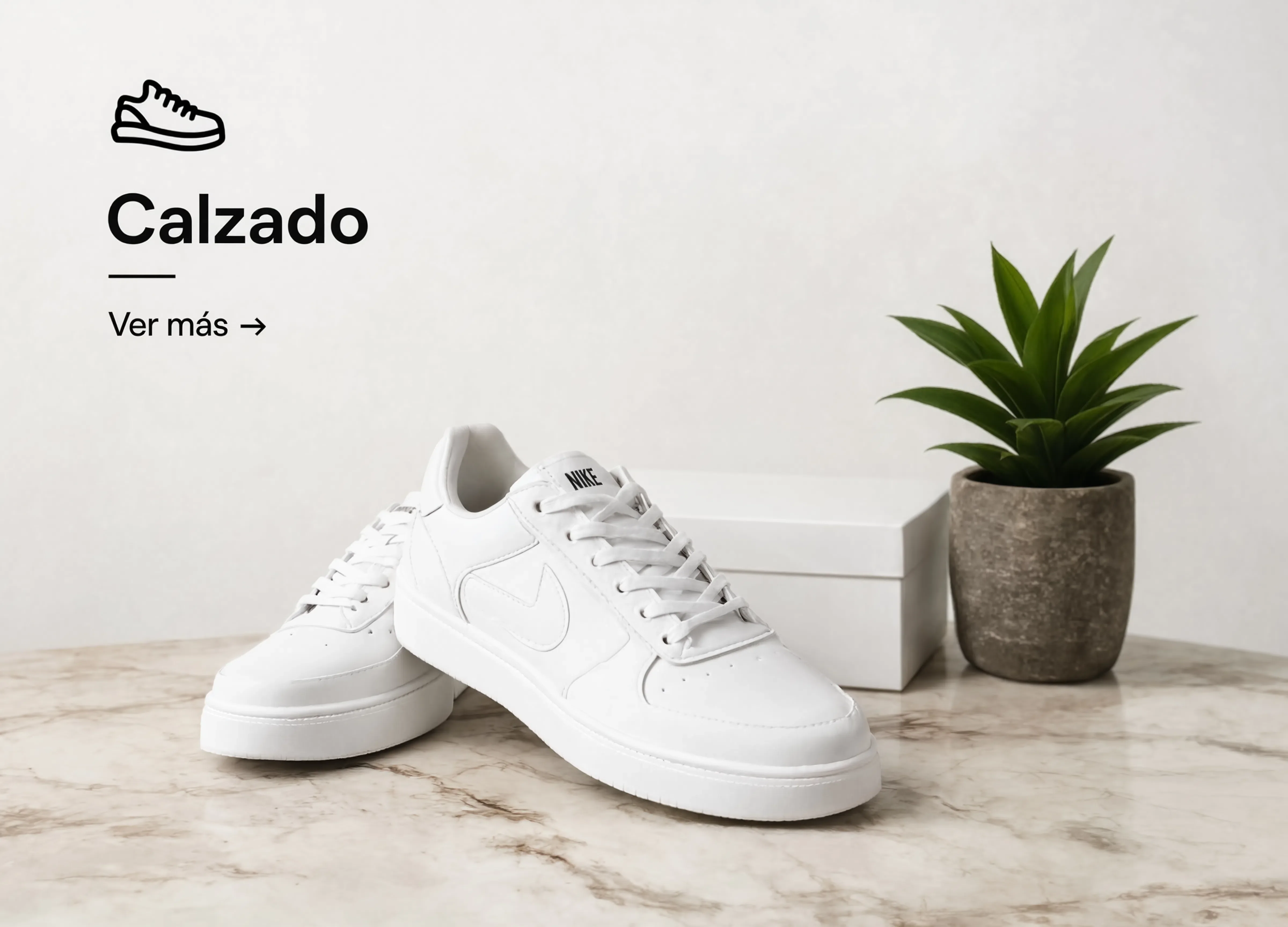 CALZADO