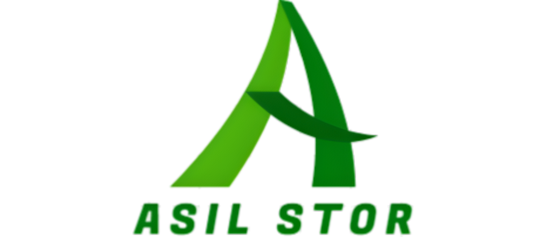 Asil stor