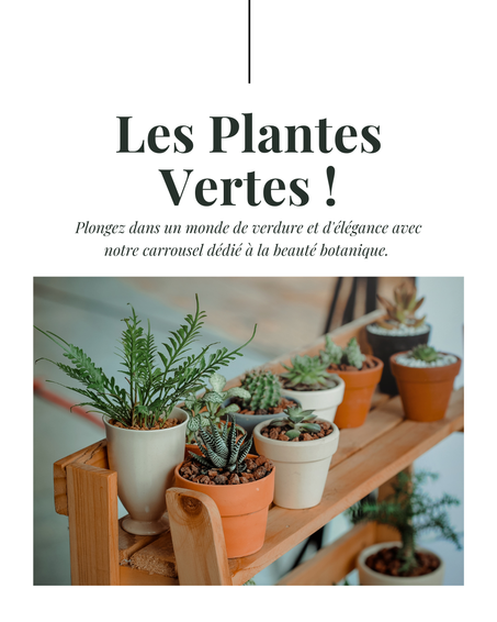 PLANTES