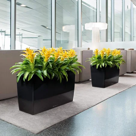 Pot rectangulaire en polyester