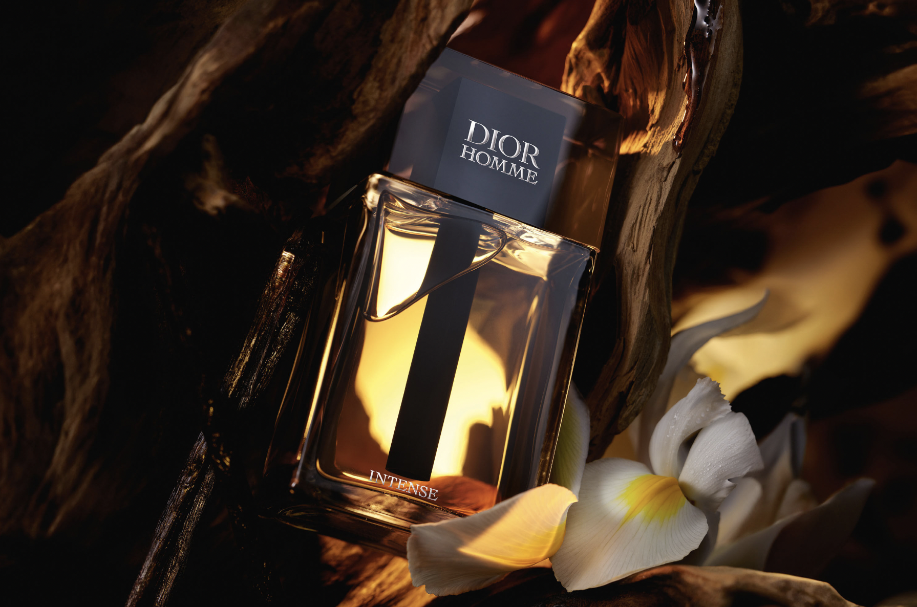 DIOR HOMME INTENSE