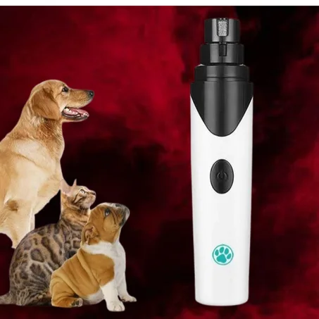 إكسسوارات الكلاب