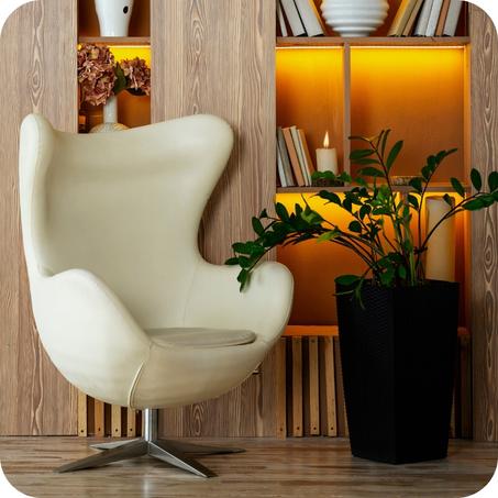 اثاث المنزل