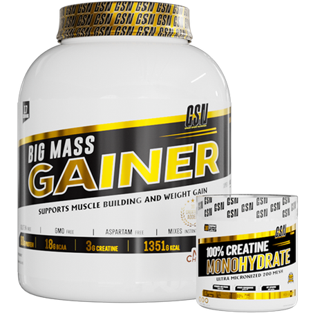 Big Mass Gainer 3Kg + Creatine 200g