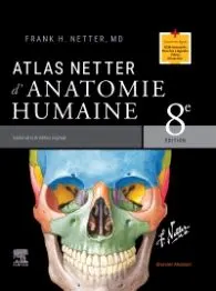Anatomie