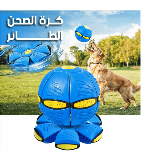 كرة الصحن الطائر 🛸