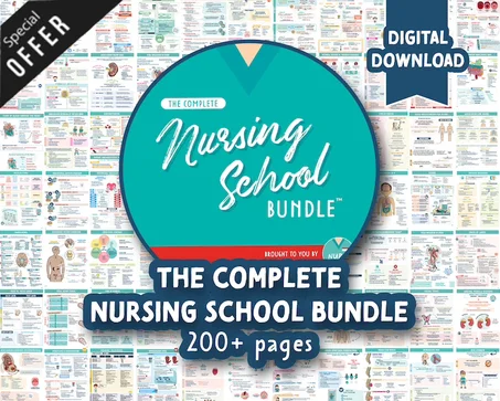 The Complete Nursing School Bundle™ | 200+ Pages | Digital Download