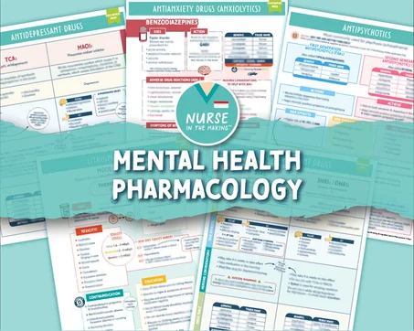 Mental Health Pharmacology - 5 pages - Digital Download Only