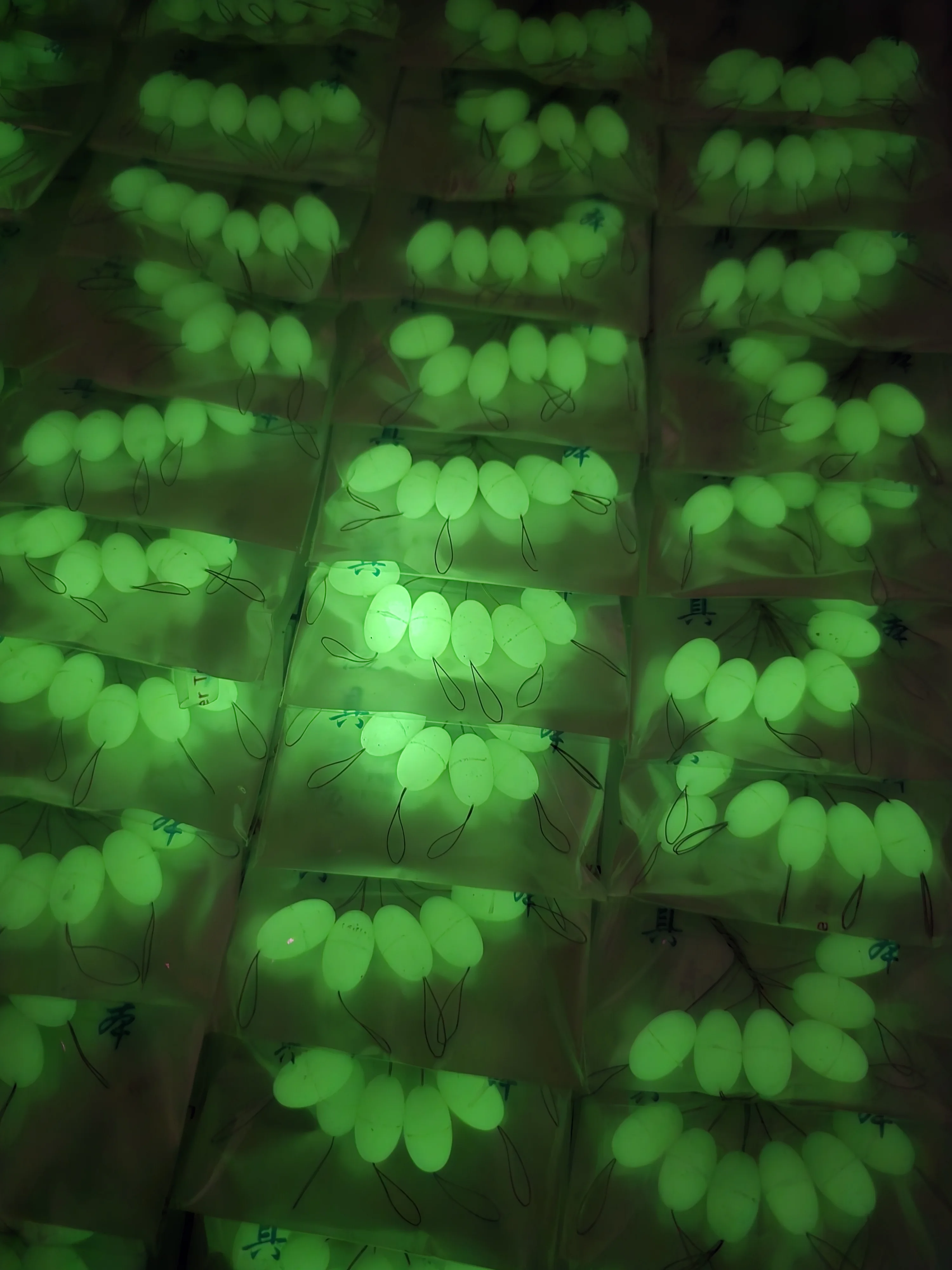 Perle Flottante Phospho Souple