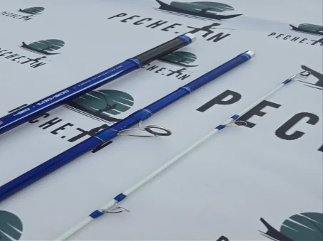 Canne PRO PESCA TORNADO 4.20M