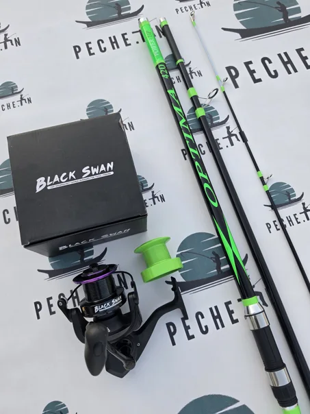 Pro Pesca SPECTRA +Black swan bs9000