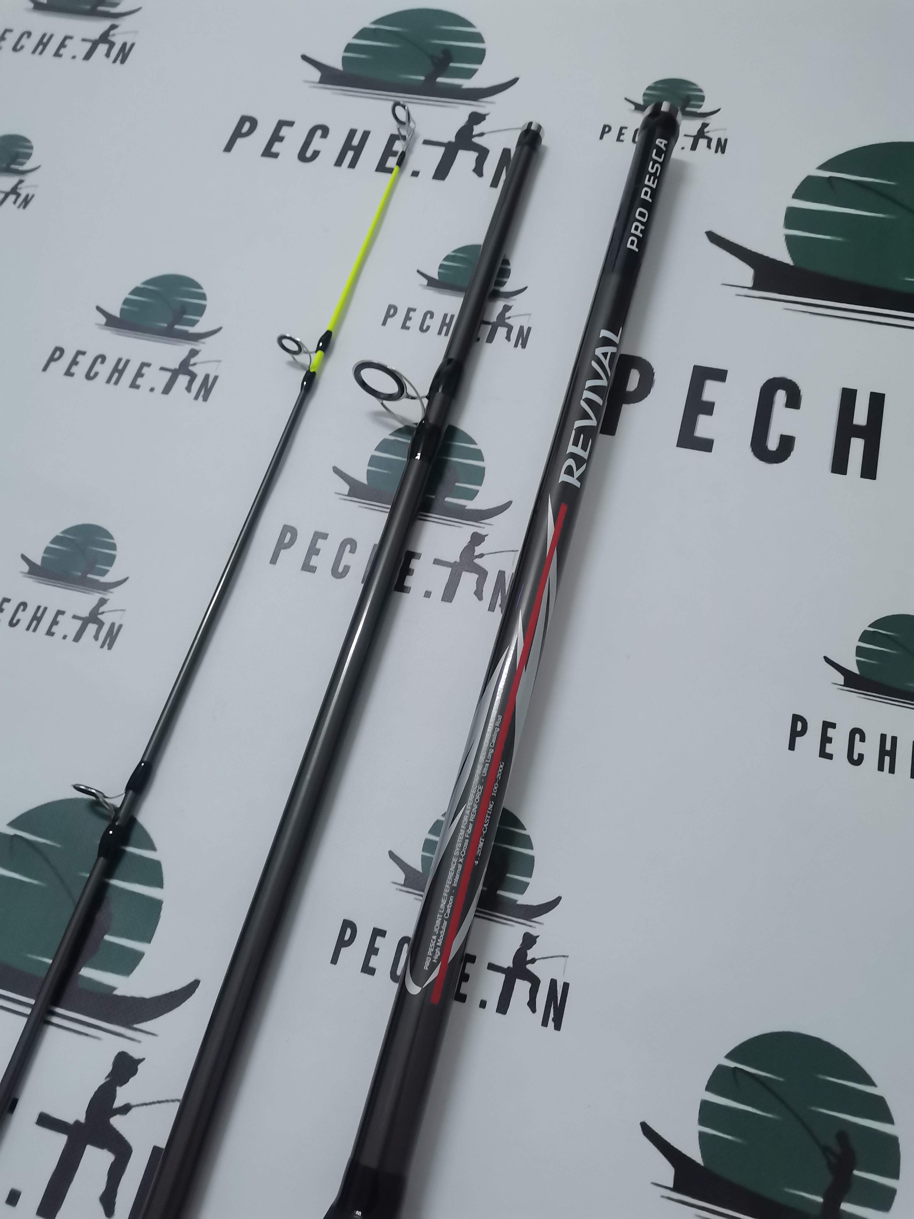 Canne pro pesca REVIVAL 4.2m