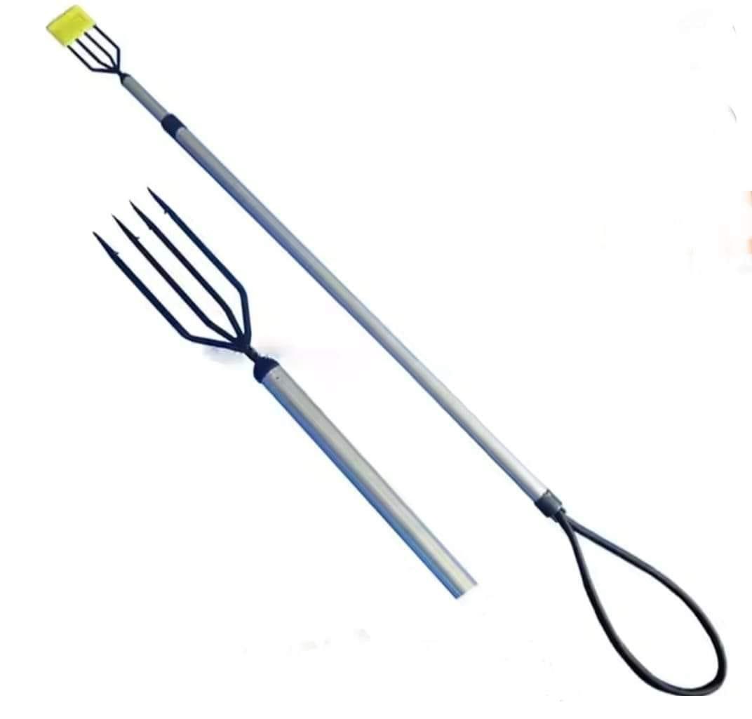 Pole spear