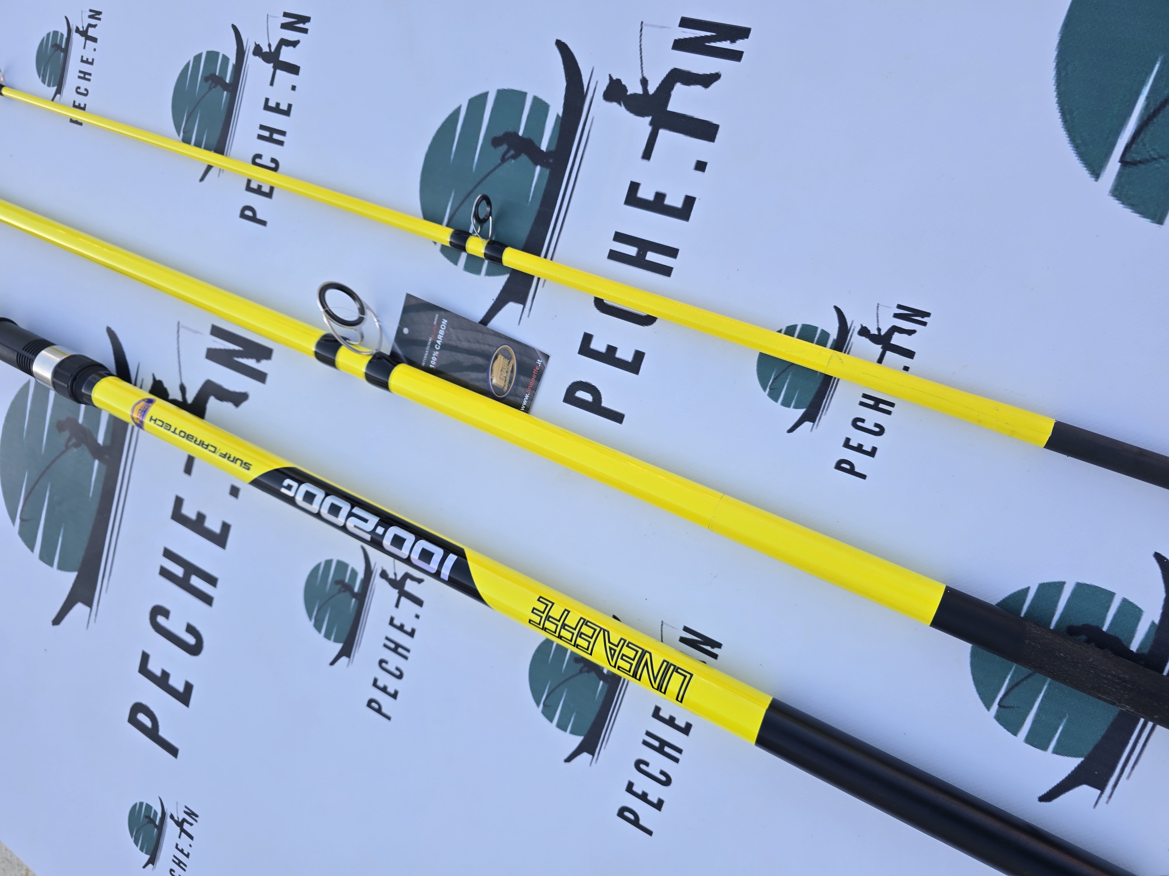 Canne LINEAFFE LONG CAST4.2M +moulinet YF9000