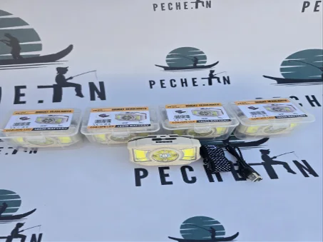 Lampe Frontale Rechargeable