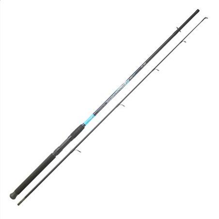 Canne Spinning Sert Fish Instinct Fw20 rhapsody 2.40m 20-50gr