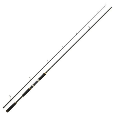 Canne Spinning SPINAVA 2.40M
