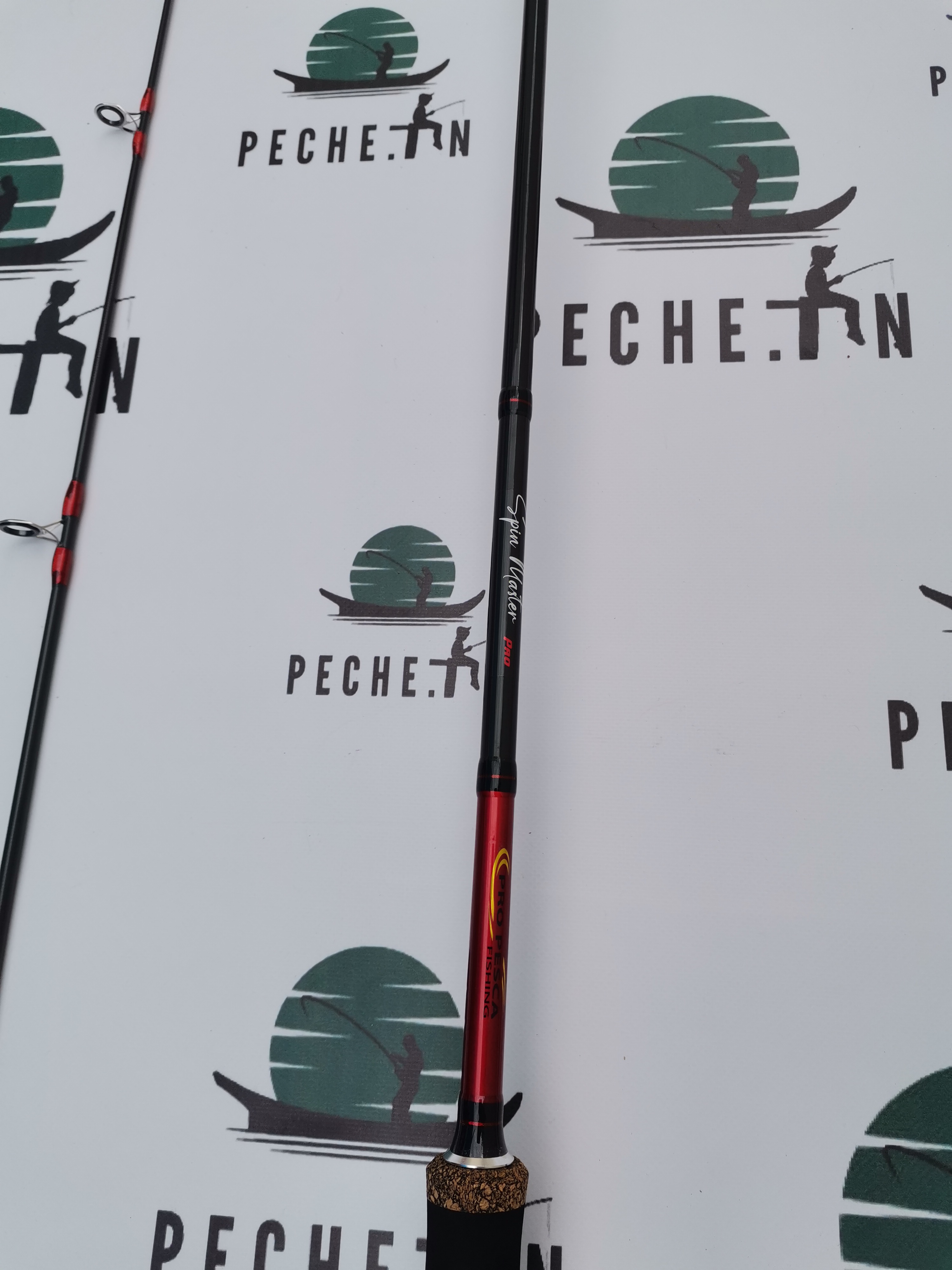 CANNE PRO PESCA SPIN MASTER 2.7M