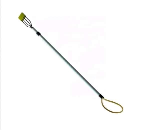 Pole spear