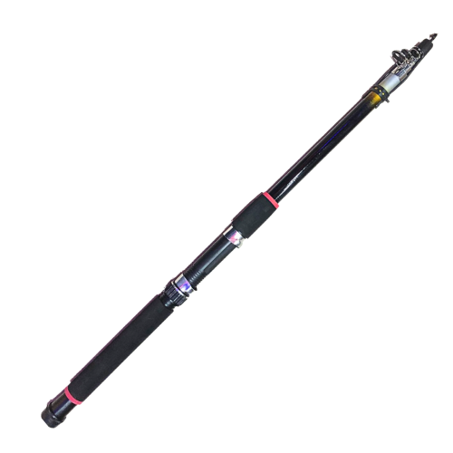 CANNE PRO PESCA TELESCOPIQUE 3M