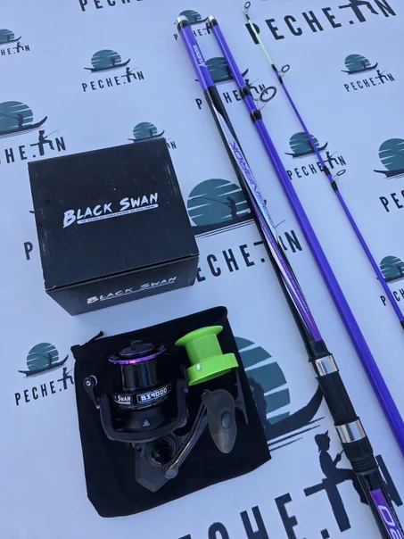 Pack KUDOS 4.20m + BLACK SWAN BS9000