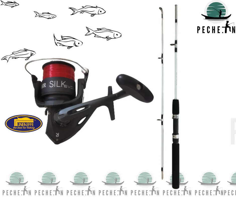 Canne à pêche kudos 2 pieces 1.65m + Moulinet Silk Evolution 7000