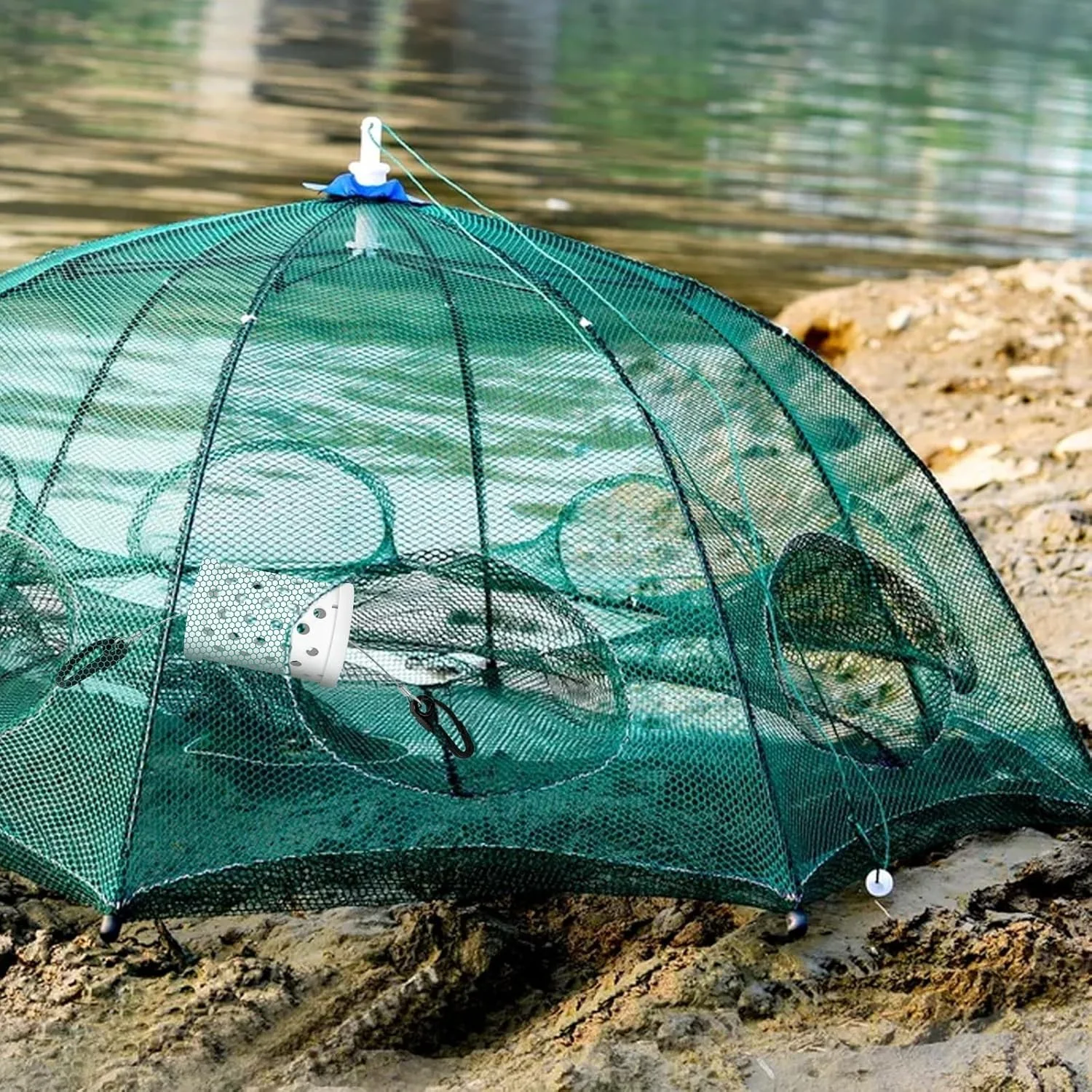 Piège à poissons pliable 6 trou (DRINA)