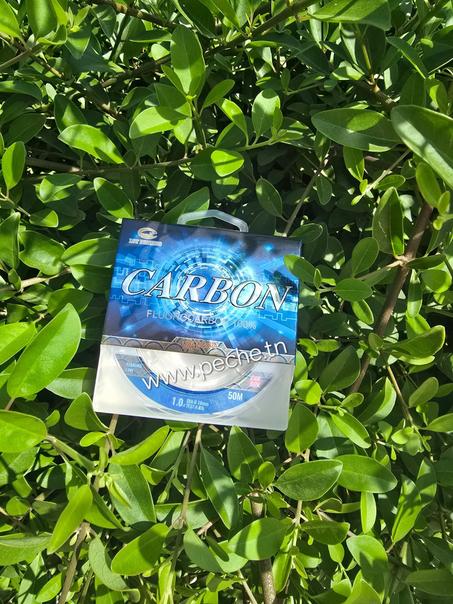 FLUOROCARBON 50M LST FISHING