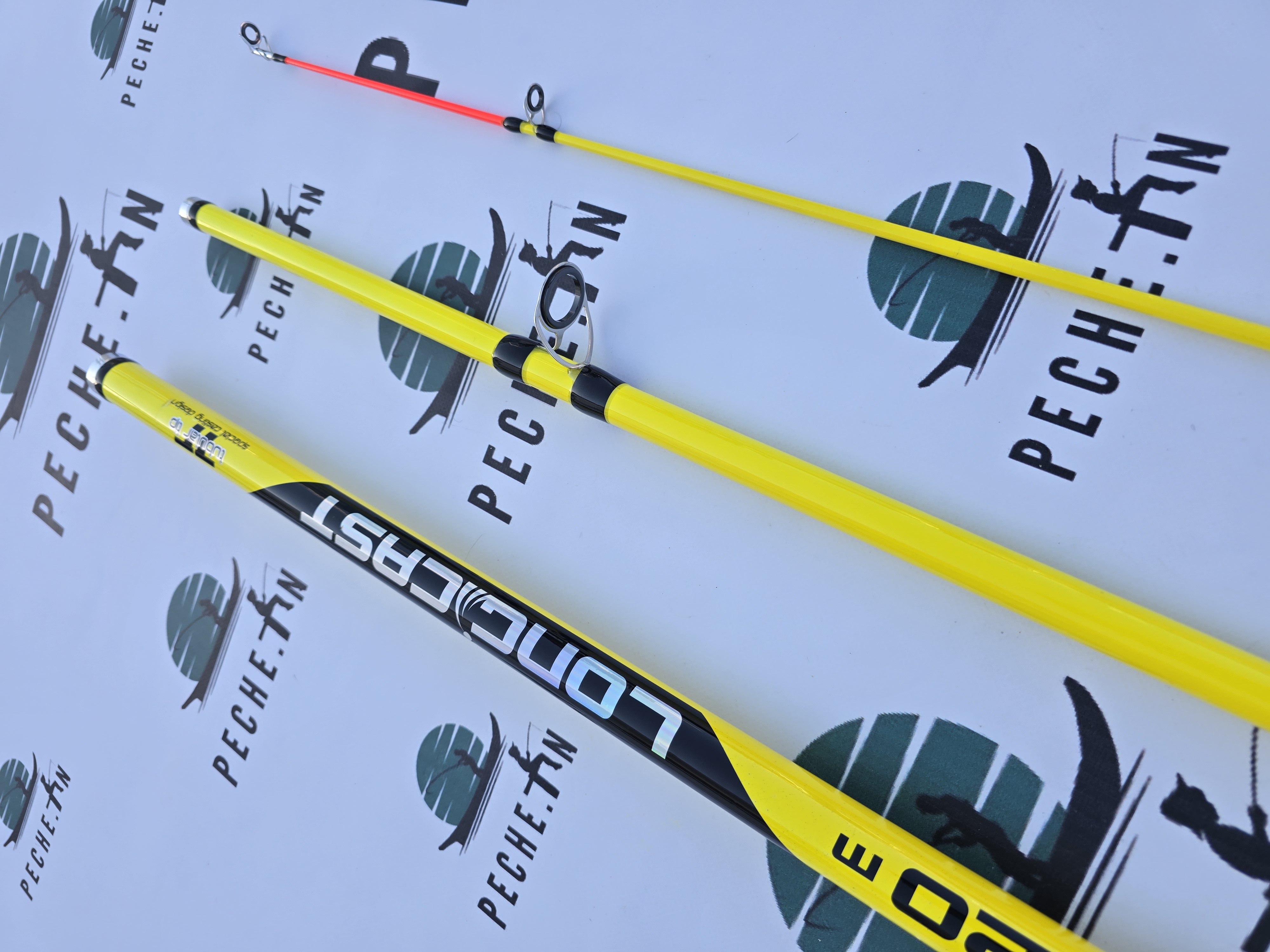 Canne LINEAFFE LONG CAST4.2M +moulinet YF9000