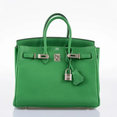 GREEN Birkin 25 Bambou (Bamboo) Green Togo With Palladium Hardware - 2014, R Square - LuxurBags