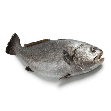 القرب (Courbine)